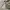 Stone Island Streetwear Casual Puffer jacket Pria white gray photo 3