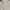 Polo Ralph Lauren Casual Formal shirt Pria white photo 1