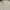 Polo Ralph Lauren Casual Formal Shirt Pria White