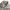 Ben Davis Indie Casual Bomber jacket Pria cream photo 4