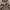 Avant Garde Futurist Casual pants Pria brown photo 4