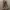 Avant Garde Futurist Casual pants Pria brown photo 1
