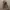 Avant Garde Futurist Casual Pants Pria Brown
