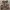 Avant Garde Futurist Casual pants Pria brown photo 7
