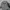 Champion Casual Track jacket Pria gray photo 1