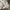 Japanese brand Streetwear Sportswear Windbreaker Pria white photo 4