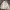 Japanese brand Streetwear Sportswear Windbreaker Pria white photo 2