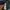 Polham Vintage Streetwear Windbreaker Pria navy photo 6