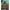 ECKO UNLTD Streetwear Casual Windbreaker Pria tan photo 1