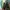 Streetwear Sportswear Windbreaker Pria multicolor photo 6