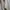Compass Casual Sneakers Pria cream photo 1