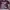 Streetwear Y2K Crop top Wanita purple photo 2