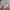 Y2K Lolita Handbag Wanita pink photo 1