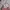 Y2K Lolita Handbag Wanita Pink