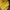Adidas Vintage Jumper Pria tan yellow photo 3