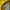 Adidas Vintage Jumper Pria tan yellow photo 5