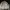 Adidas Vintage Jumper Pria tan yellow photo 2