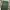 Japanese brand Streetwear Casual Casual pants Pria green photo 6