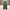 Japanese brand Streetwear Casual Casual pants Pria green photo 3