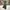 Japanese brand Streetwear Casual Casual pants Pria green photo 1