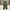 Japanese brand Streetwear Casual Casual pants Pria green photo 2