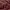 Billabong Streetwear Sportswear Windbreaker Pria burgundy photo 7