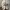 Adidas Streetwear Sportswear Sandals & slide Pria cream photo 2