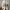 Adidas Streetwear Sportswear Sandals & Slide Pria Cream
