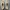 Adidas Streetwear Sportswear Sandals & slide Pria cream photo 1