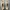 Adidas Streetwear Sportswear Sandals & Slide Pria Cream