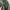 Vintage Grunge Bomber jacket Pria green photo 3