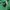Tommy Hilfiger Luxury Casual Sweater Pria green photo 5