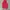 Dickies Gorpcore Puffer jacket Pria red photo 4