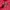 Dickies Gorpcore Puffer jacket Pria red photo 1