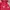 Dickies Gorpcore Puffer jacket Pria red photo 3