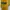 K2 Casual Track jacket Pria purple yellow photo 2