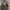 Japanese brand Streetwear Sportswear Bomber jacket Pria black yellow photo 2