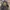 Japanese Brand Streetwear Sportswear Bomber Jacket Pria Black Yellow