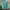 Japanese brand Streetwear Casual Track jacket Pria green photo 2