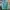 Japanese Brand Streetwear Casual Track Jacket Pria Green