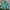 Japanese brand Streetwear Casual Track jacket Pria green photo 1