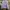 Japanese brand Streetwear Biker Harrington jacket Pria gray cream photo 2