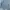 Calvin Klein Casual Parka Pria multicolor green photo 4