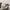 Vintage Y2K Hat Pria white photo 3