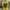 Streetwear Casual T-shirt Pria yellow photo 1