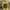 Streetwear Casual T-shirt Pria Yellow