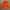 Adidas Casual Hoody Pria orange photo 3