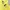 Beanpole Y2K Avant Garde Harrington jacket Pria yellow photo 6