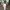 Le Coq Sportif Sportswear Casual Sweater Pria white photo 1