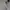 Le Coq Sportif Sportswear Casual Sweater Pria white photo 6